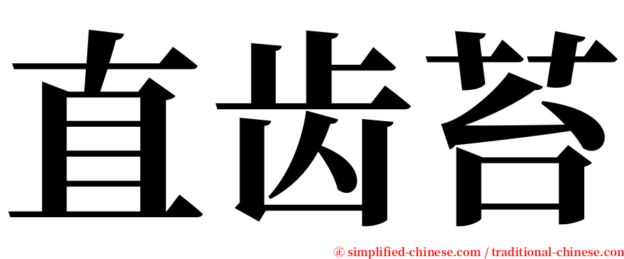 直齿苔 serif font