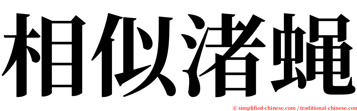 相似渚蝇 serif font