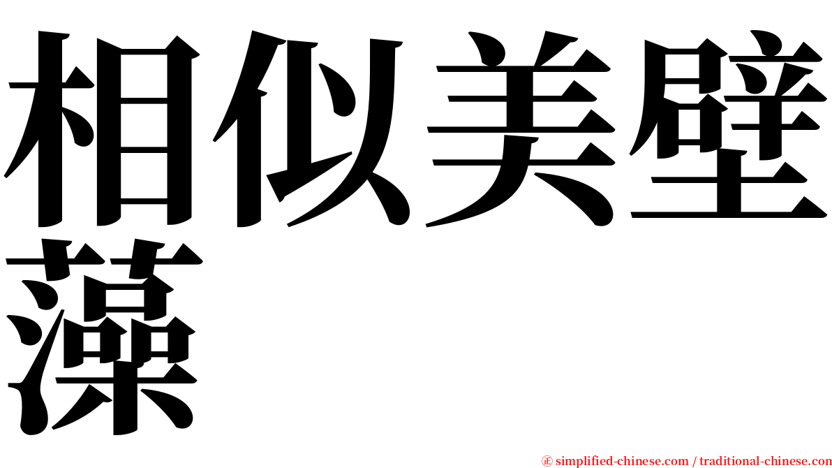 相似美壁藻 serif font