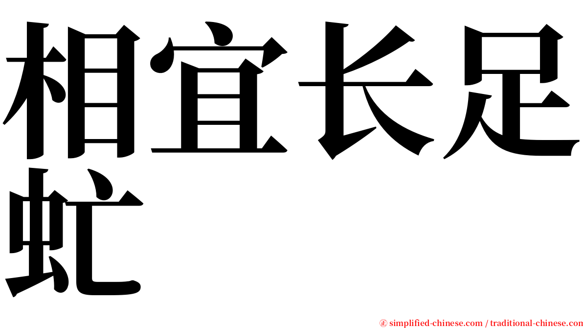 相宜长足虻 serif font