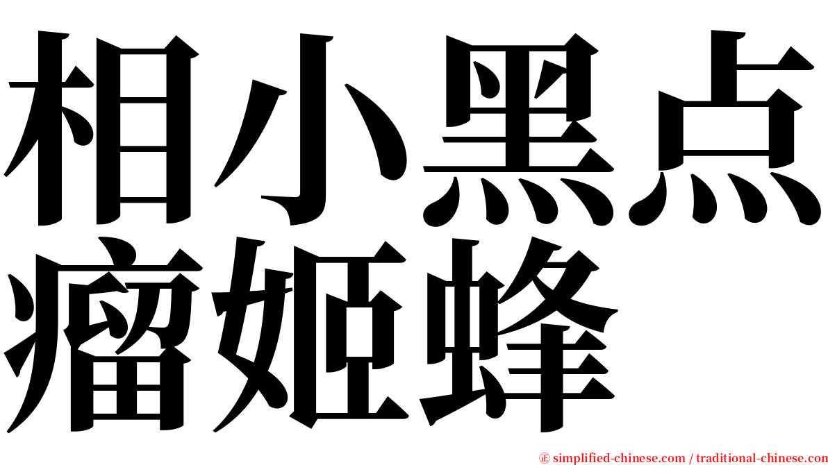 相小黑点瘤姬蜂 serif font