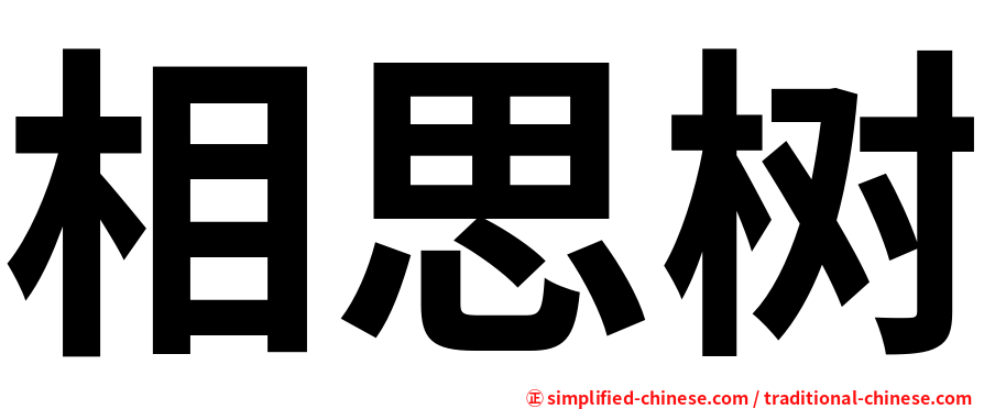 相思树