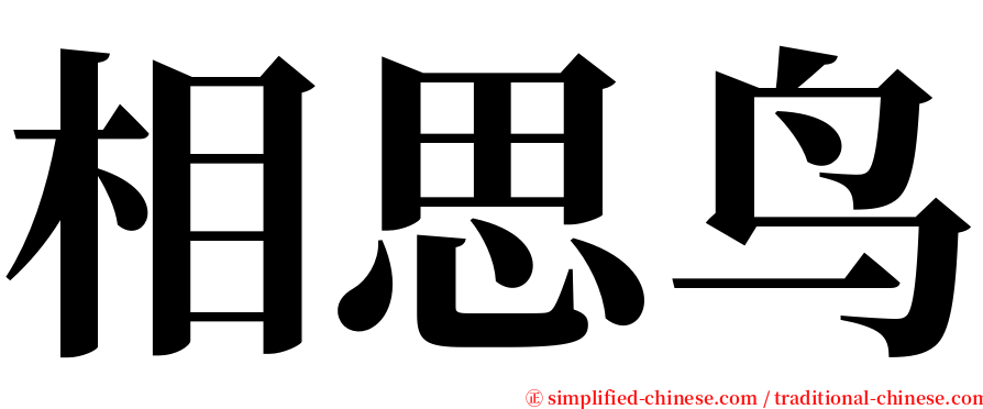 相思鸟 serif font