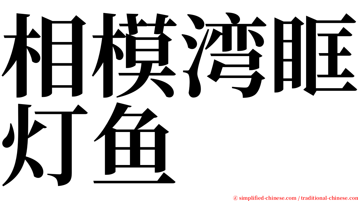 相模湾眶灯鱼 serif font