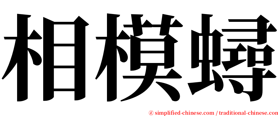 相模蟳 serif font