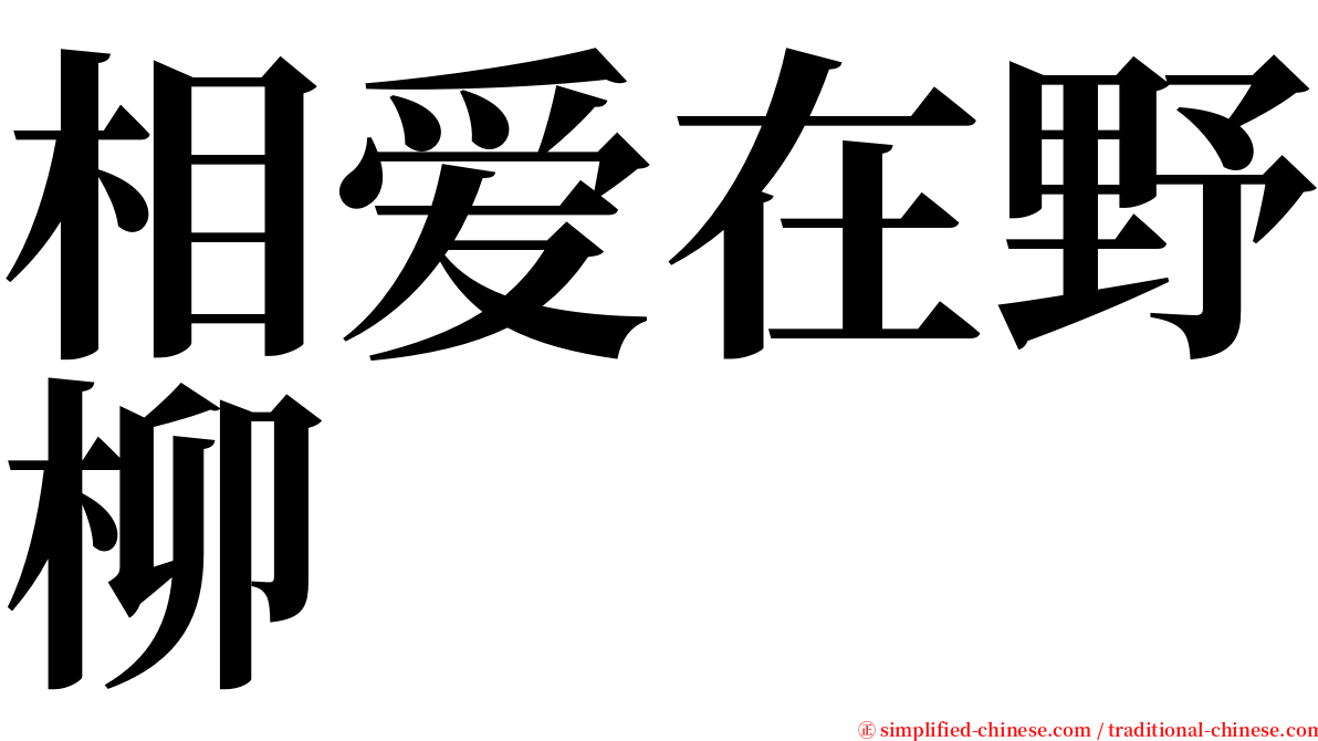 相爱在野柳 serif font