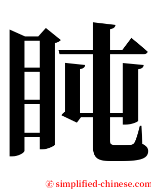 盹 serif font