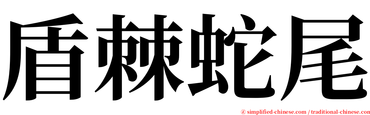 盾棘蛇尾 serif font