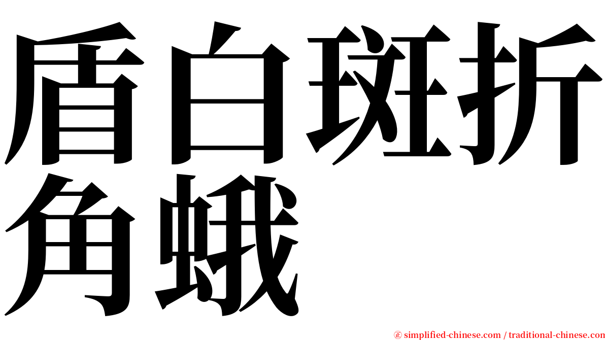 盾白斑折角蛾 serif font