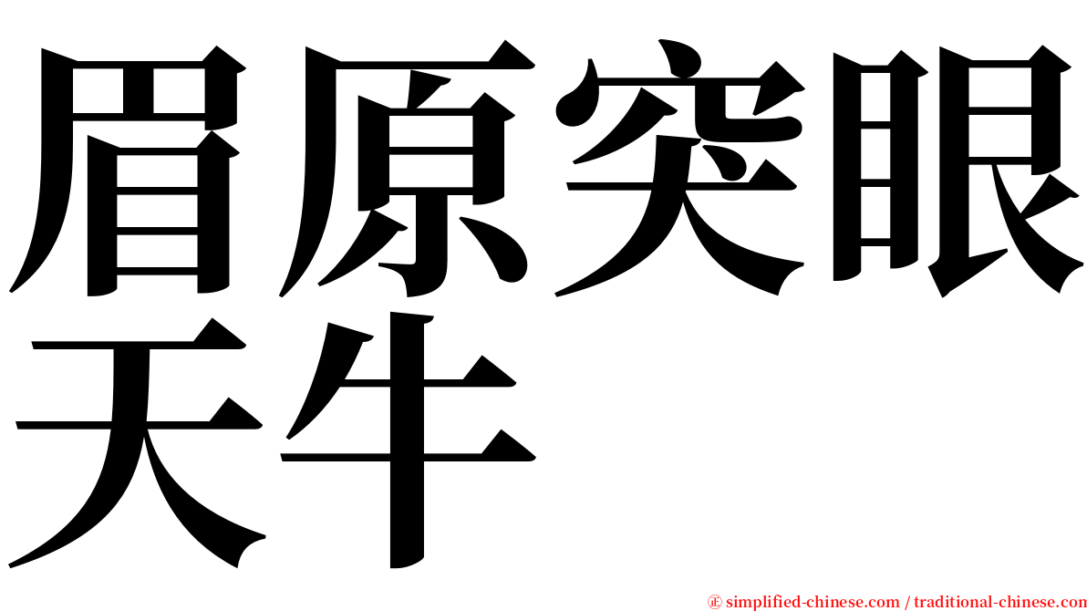 眉原突眼天牛 serif font