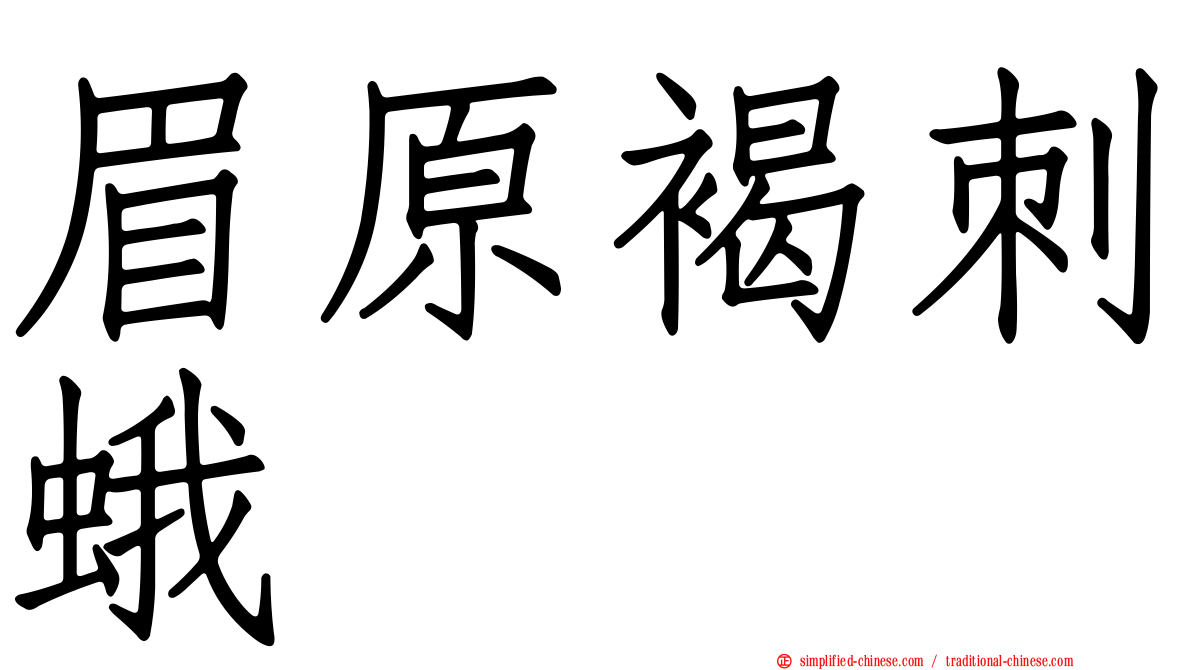 眉原褐刺蛾