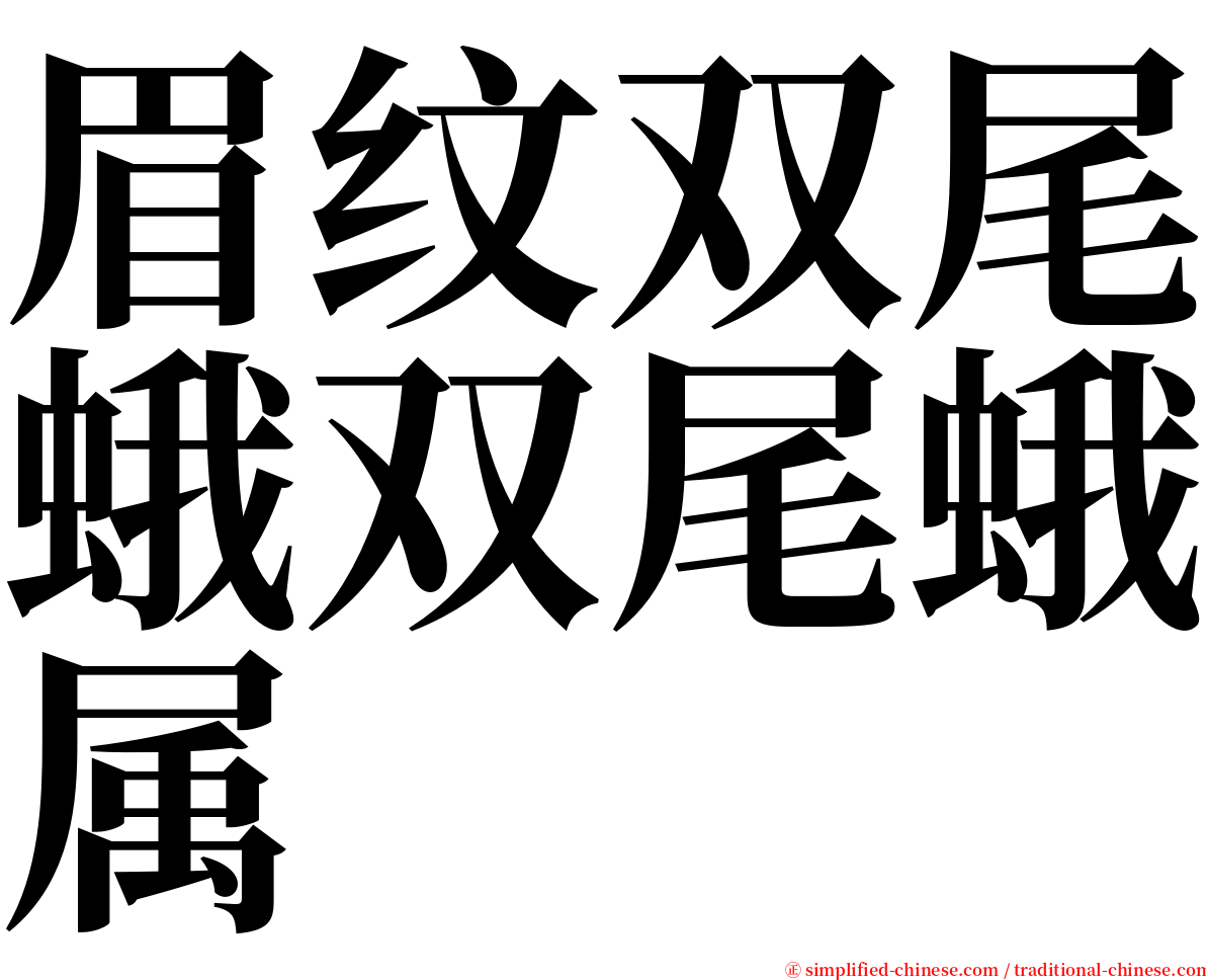 眉纹双尾蛾双尾蛾属 serif font