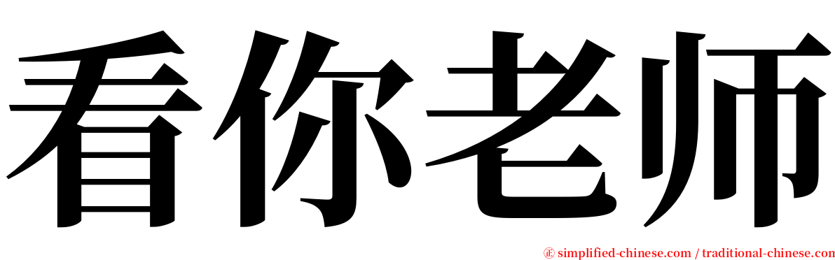 看你老师 serif font