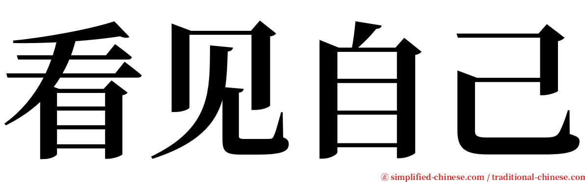 看见自己 serif font