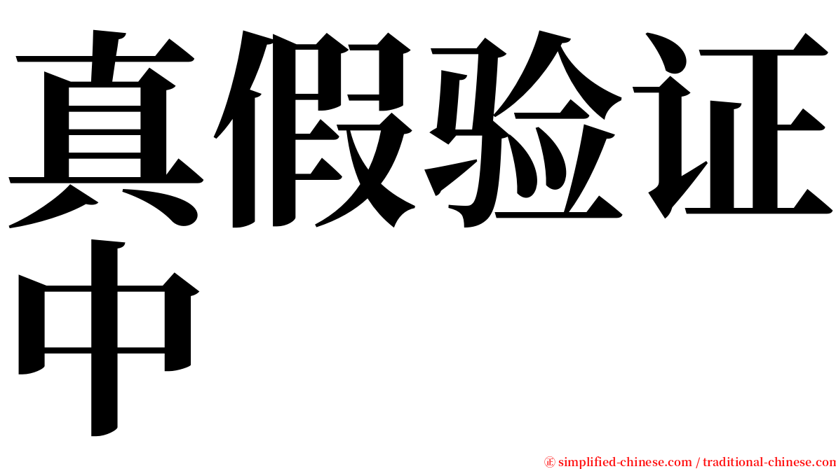 真假验证中 serif font