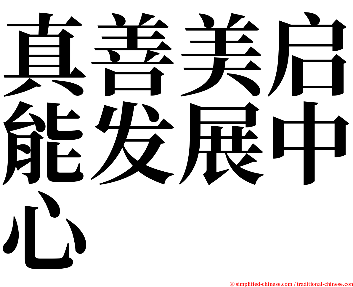 真善美启能发展中心 serif font