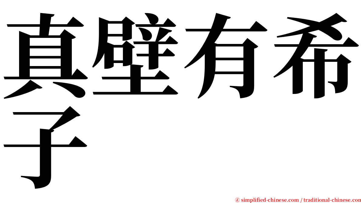 真壁有希子 serif font