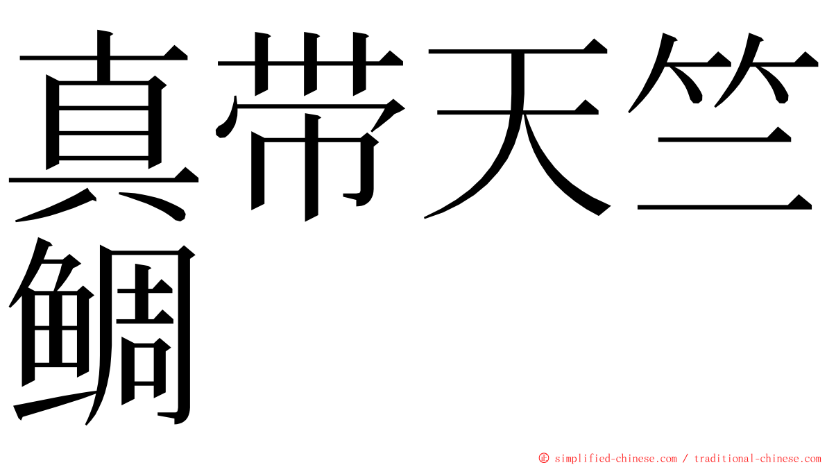 真带天竺鲷 ming font