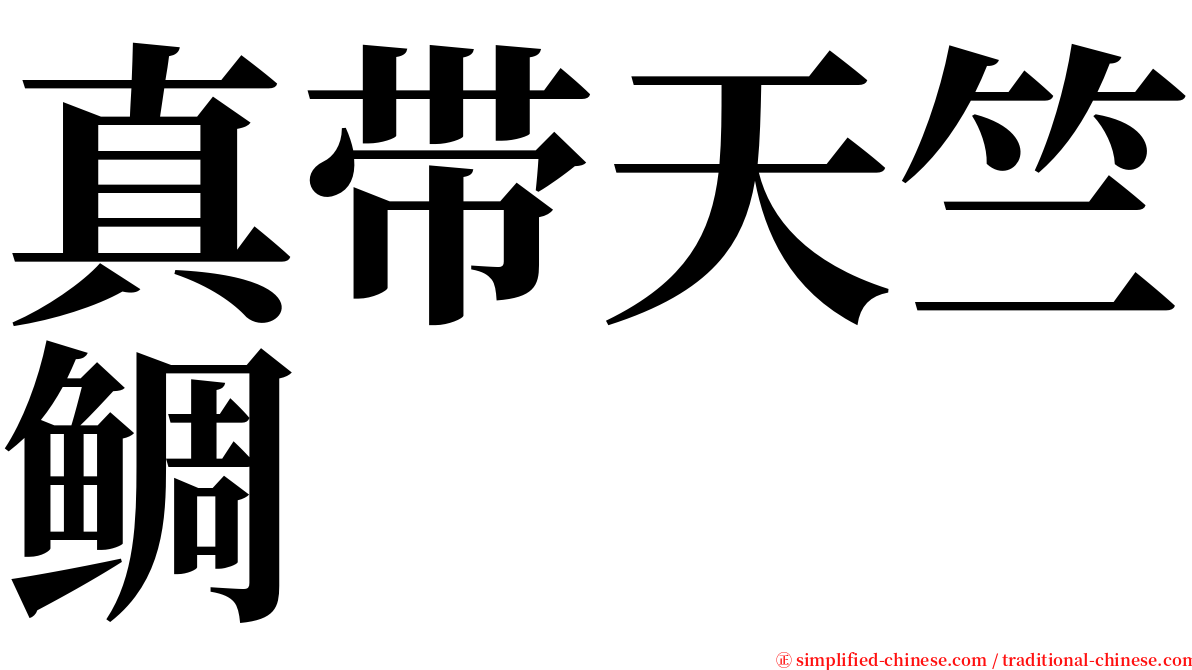 真带天竺鲷 serif font