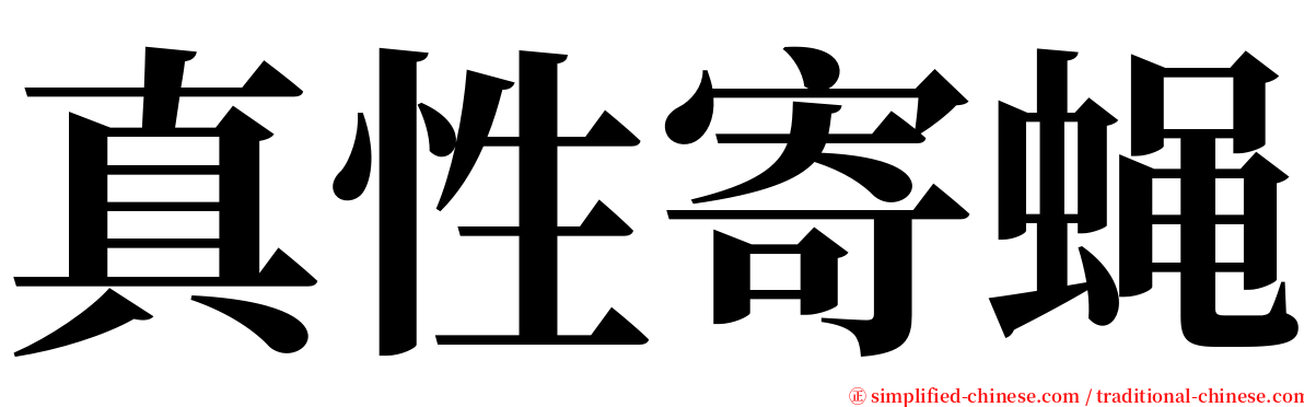 真性寄蝇 serif font