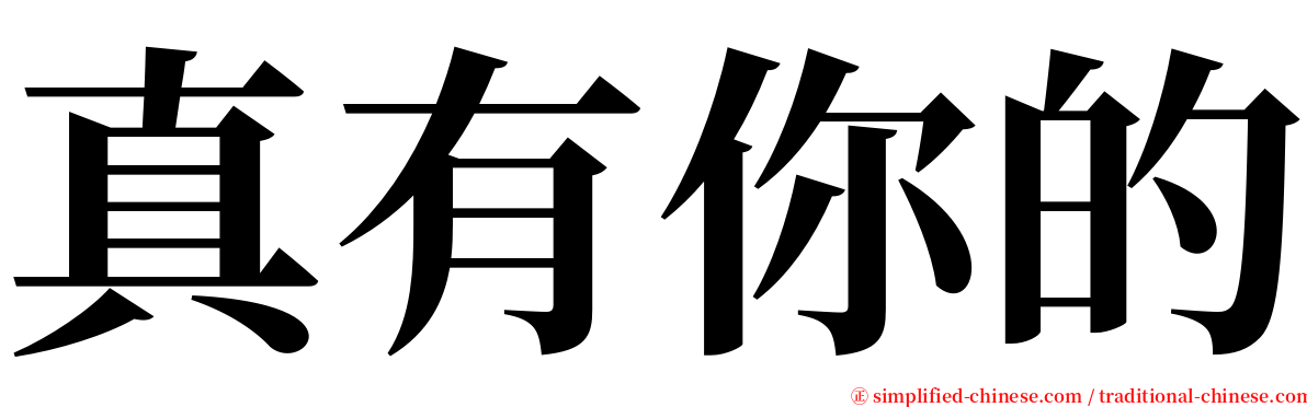 真有你的 serif font