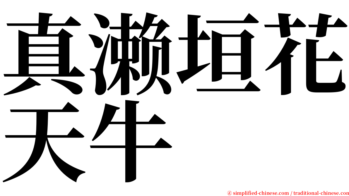 真濑垣花天牛 serif font