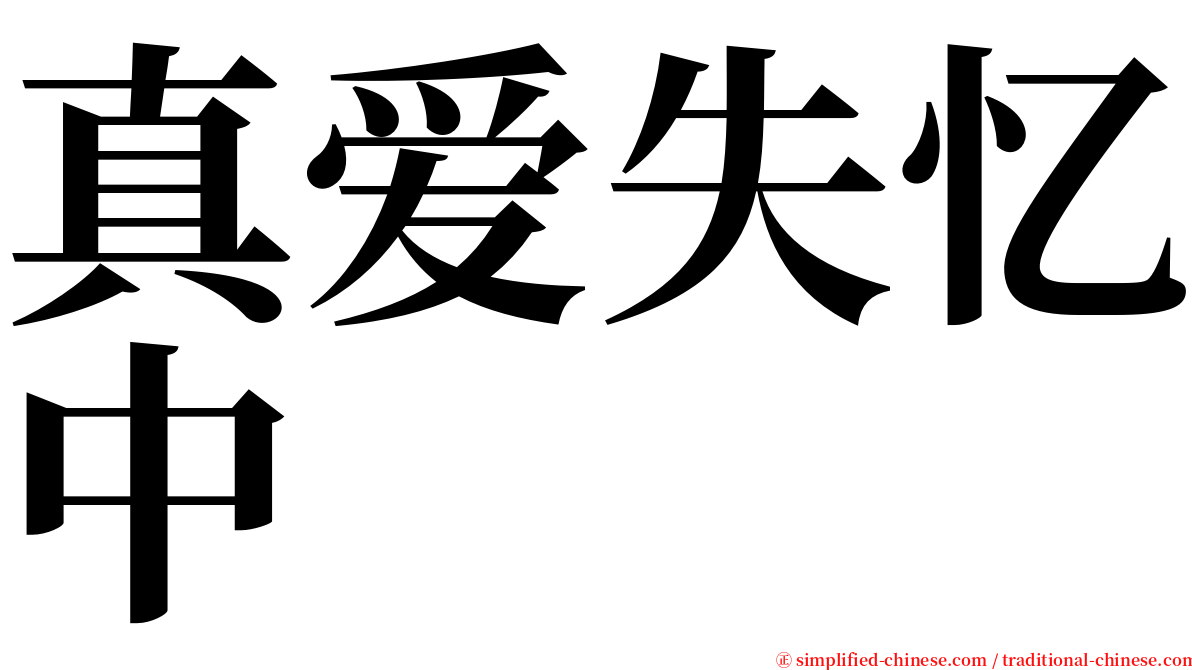 真爱失忆中 serif font