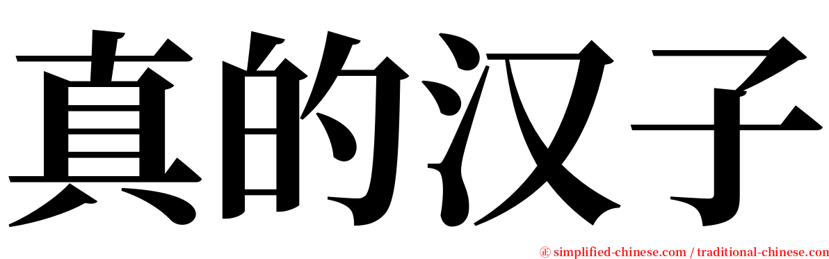 真的汉子 serif font