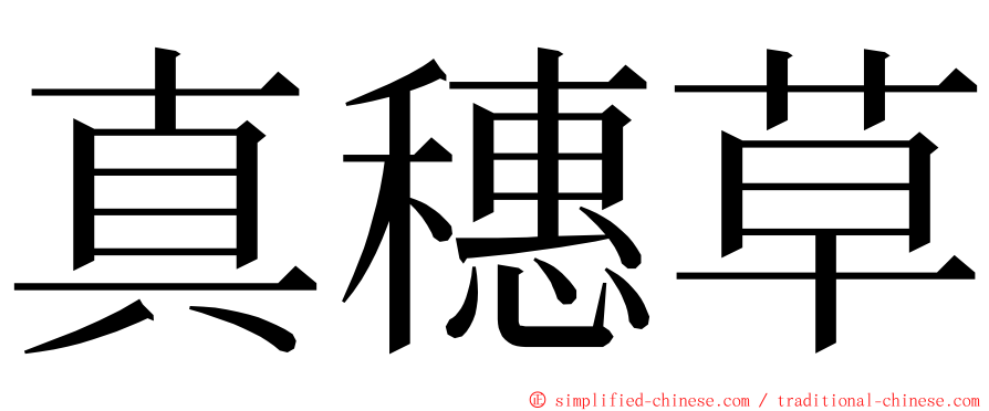 真穗草 ming font