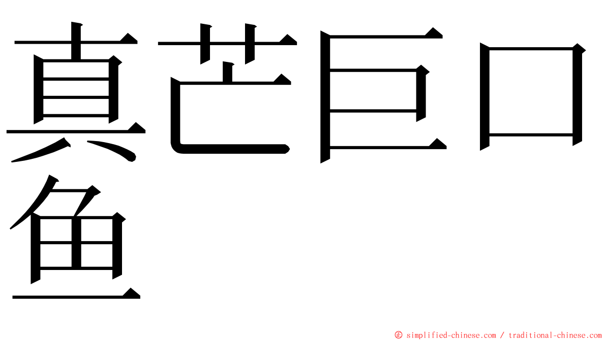 真芒巨口鱼 ming font