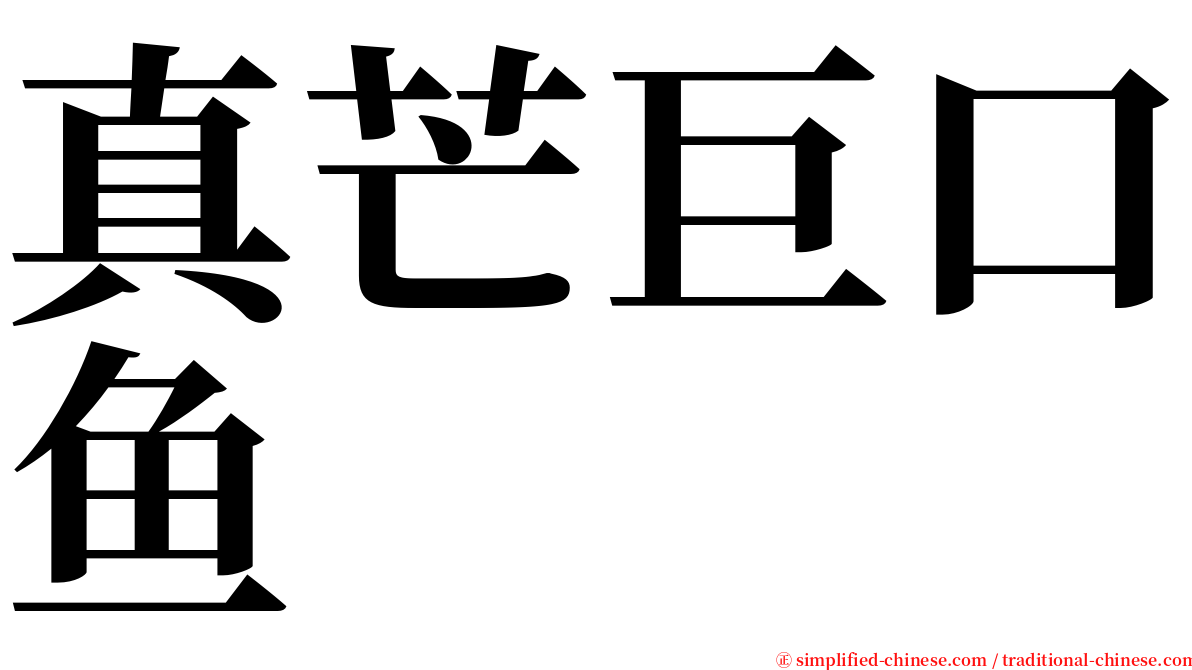 真芒巨口鱼 serif font