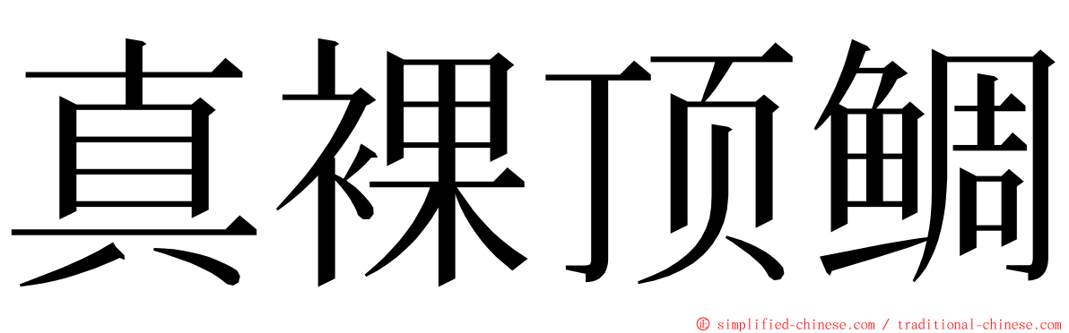 真裸顶鲷 ming font