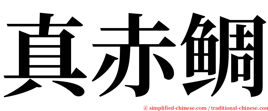 真赤鲷 serif font