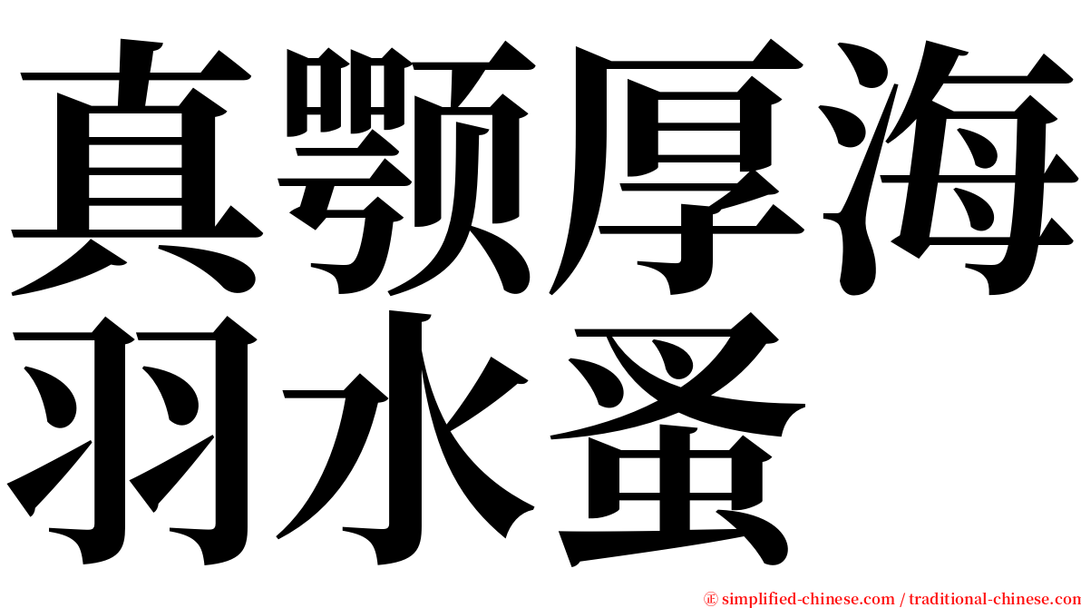 真颚厚海羽水蚤 serif font