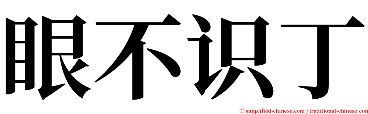 眼不识丁 serif font