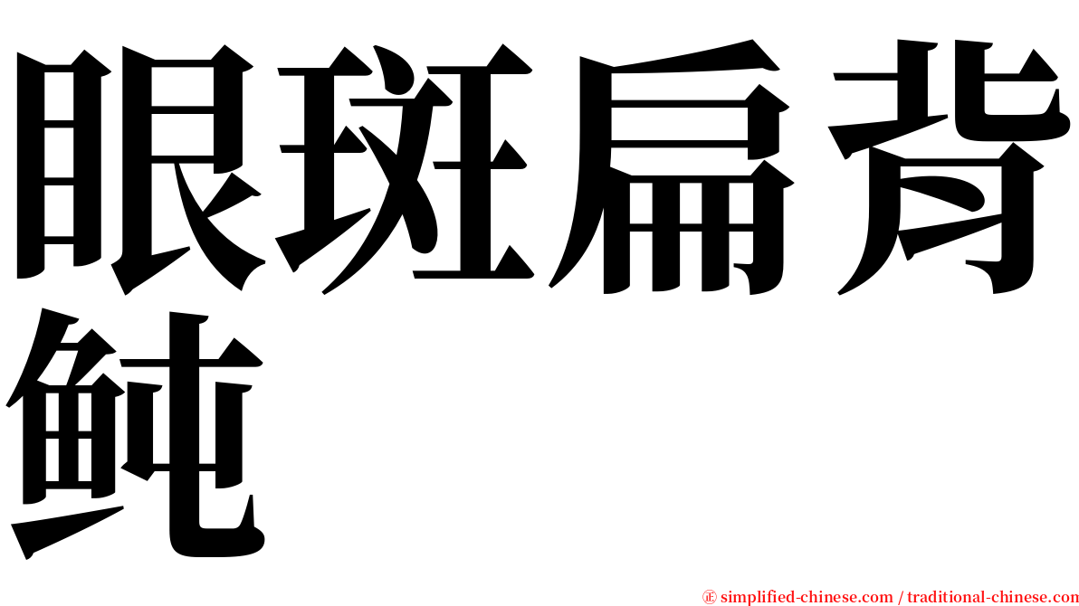 眼斑扁背鲀 serif font