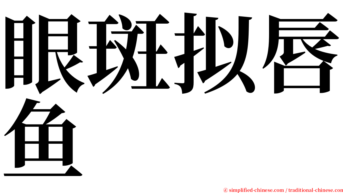 眼斑拟唇鱼 serif font