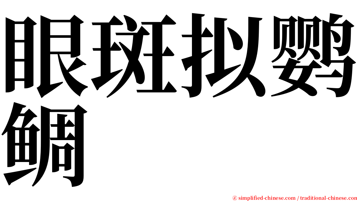 眼斑拟鹦鲷 serif font