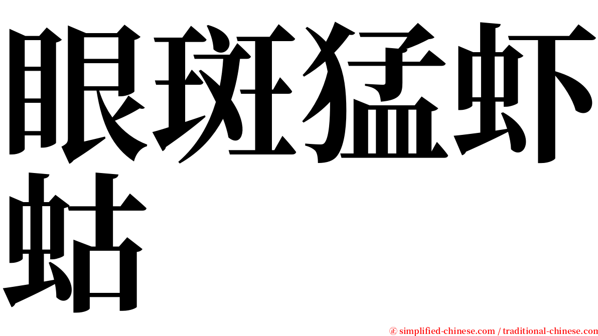 眼斑猛虾蛄 serif font