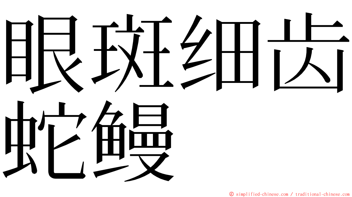 眼斑细齿蛇鳗 ming font