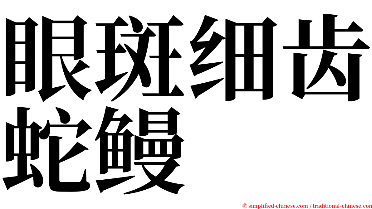 眼斑细齿蛇鳗 serif font