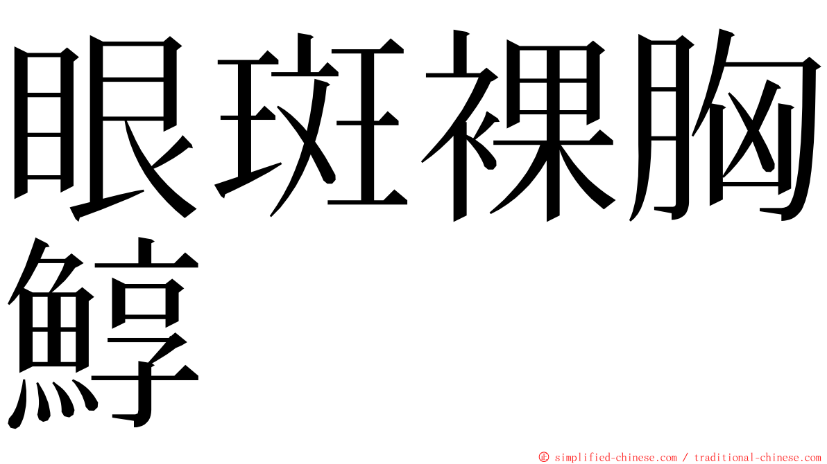 眼斑裸胸鯙 ming font