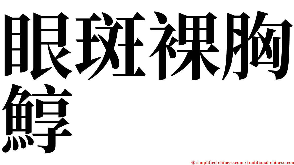 眼斑裸胸鯙 serif font