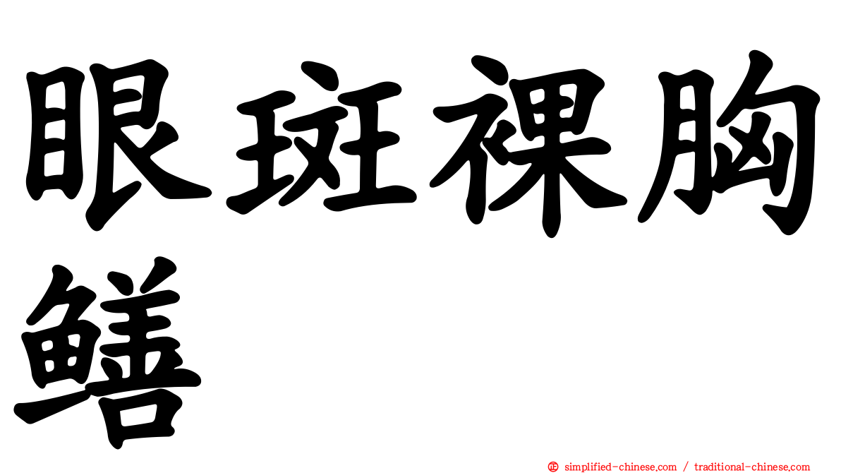 眼斑裸胸鳝