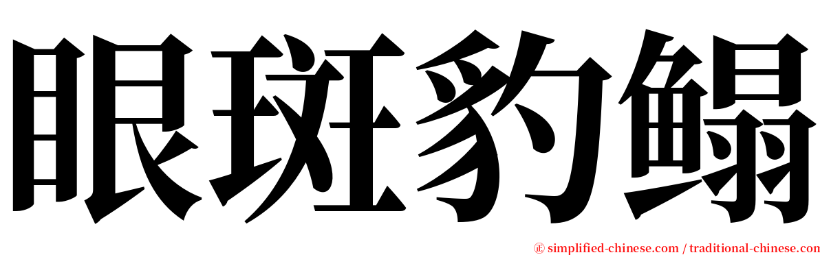 眼斑豹鳎 serif font