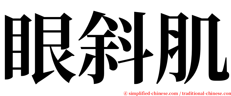 眼斜肌 serif font