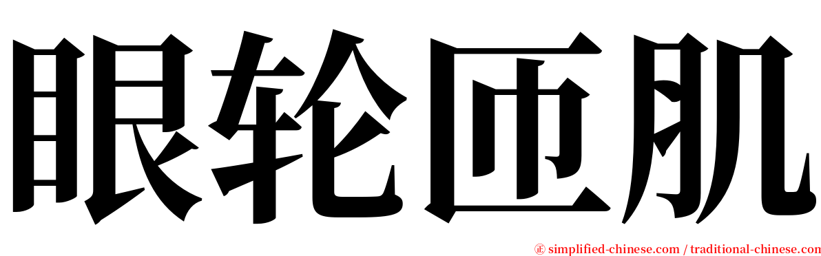 眼轮匝肌 serif font