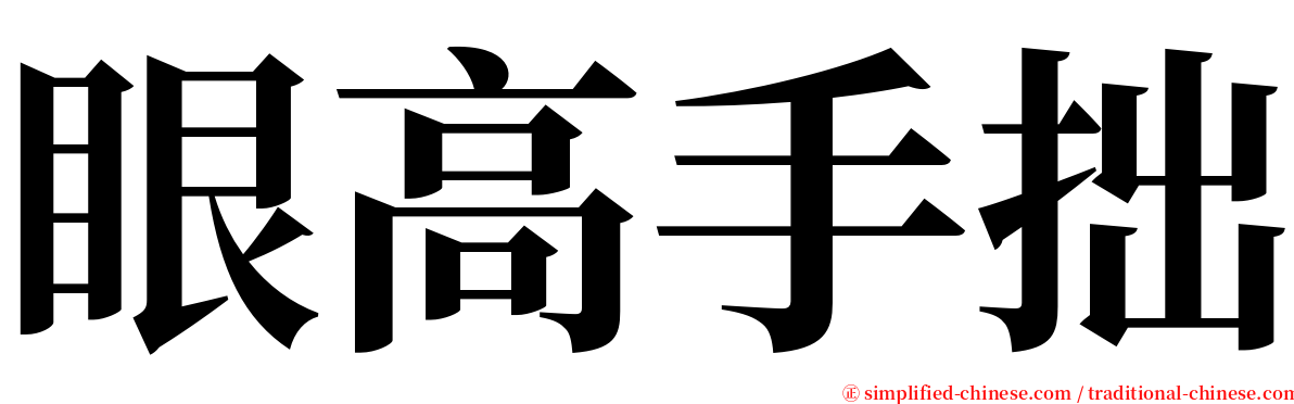 眼高手拙 serif font