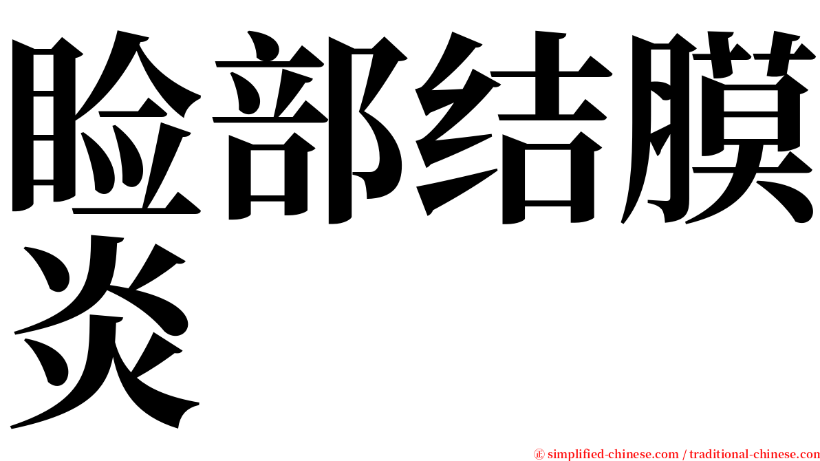 睑部结膜炎 serif font