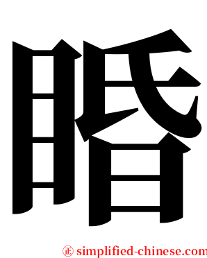 睧 serif font